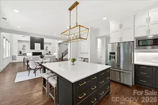 104 Broad Birch Dr, Davidson, NC 28036 - Photo 20