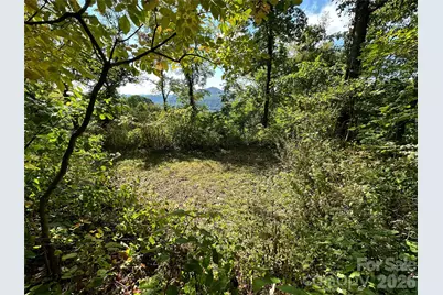 00 High Rock View Drive, Canton, NC 28716 - Photo 10
