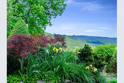 729 Bear Wallow Road, Little Switzerland, NC 28749 - Photo 8