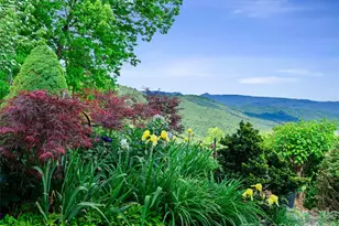 729 Bear Wallow Rd, Little Switzerland, NC 28749 - Photo 8