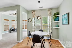1038 Pepperwood Pl, Lake Wylie, SC 29710 - Photo 10