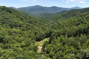 204 Rush Creek Rd, Black Mountain, NC 28711 - Photo 8