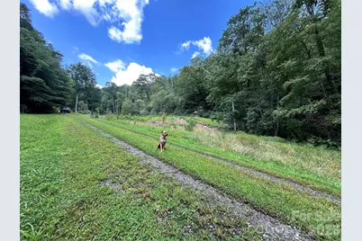204 Rush Creek Road, Black Mountain, NC 28711 - Photo 18