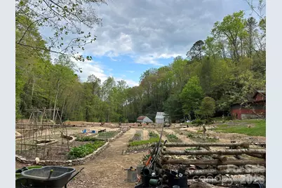 204 Rush Creek Road, Black Mountain, NC 28711 - Photo 14