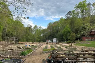 204 Rush Creek Rd, Black Mountain, NC 28711 - Photo 30