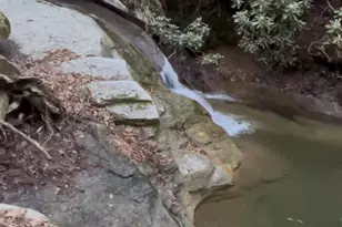 204 Rush Creek Rd, Black Mountain, NC 28711 - Photo 24