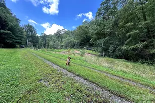 204 Rush Creek Rd, Black Mountain, NC 28711 - Photo 32