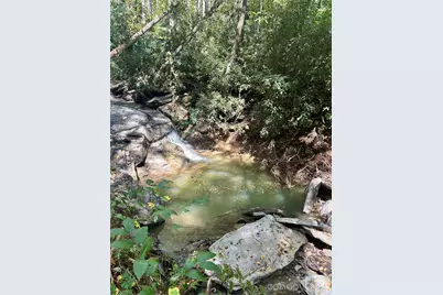 204 Rush Creek Road, Black Mountain, NC 28711 - Photo 10