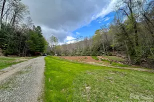 204 Rush Creek Rd, Black Mountain, NC 28711 - Photo 24