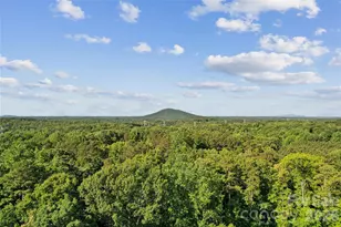 525 Haviture Wy, Gastonia, NC 28056 - Photo 36