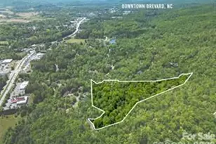 154 Chestnut Ln, Cedar Mountain, NC 28718 - Photo 46