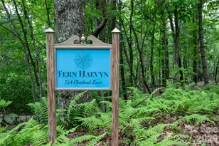 154 Chestnut Ln, Cedar Mountain, NC 28718 - Photo 48