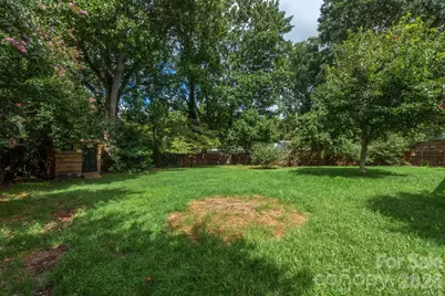 16 Oakley Dogwood Drive, Asheville, NC 28803 - Photo 4