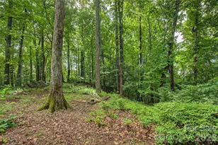 383 Ravenwood Ln, Horse Shoe, NC 28742 - Photo 46