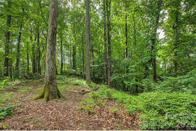 383 Ravenwood Lane, Horse Shoe, NC 28742 - Photo 44
