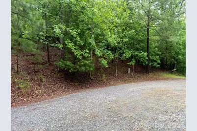 00 Bee Gee Lane, Rutherfordton, NC 28139 - Photo 6
