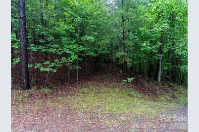 00 Bee Gee Lane, Rutherfordton, NC 28139 - Photo 12