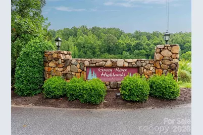 00 Bee Gee Lane, Rutherfordton, NC 28139 - Photo 2