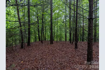 00 Bee Gee Lane, Rutherfordton, NC 28139 - Photo 10