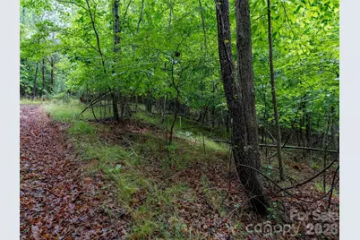 00 Bee Gee Lane, Rutherfordton, NC 28139 - Photo 14