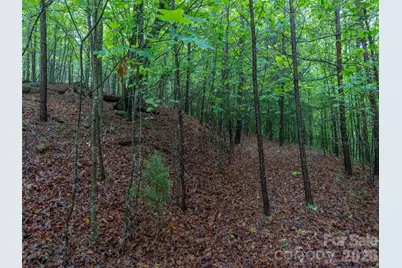 00 Bee Gee Lane, Rutherfordton, NC 28139 - Photo 8
