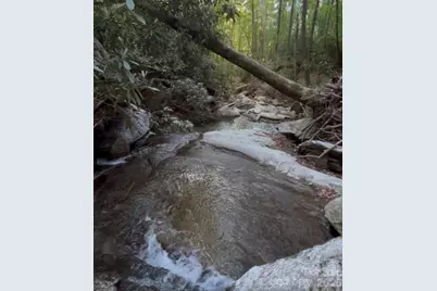 Tbd Lot 3 Rush Creek Road, Black Mountain, NC 28711 - Photo 4