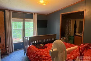811 Turkey Pen Gap Rd, Horse Shoe, NC 28742 - Photo 18