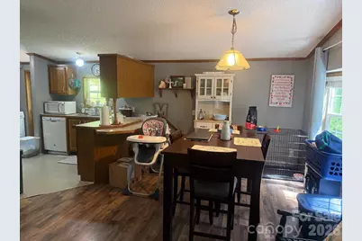811 Turkey Pen Gap Road, Horse Shoe, NC 28742 - Photo 16