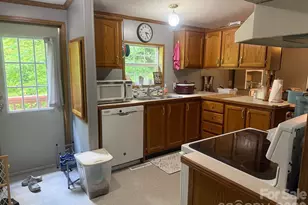 811 Turkey Pen Gap Rd, Horse Shoe, NC 28742 - Photo 14