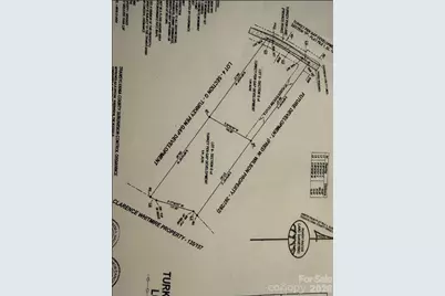 811 Turkey Pen Gap Road, Horse Shoe, NC 28742 - Photo 24