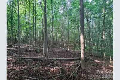 Lot 3 Schenck Farm Road, Lawndale, NC 28090 - Photo 6