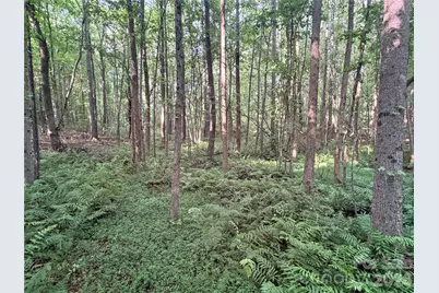 Lot 3 Schenck Farm Road, Lawndale, NC 28090 - Photo 10
