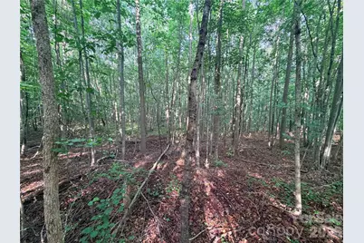 Lot 3 Schenck Farm Road, Lawndale, NC 28090 - Photo 4