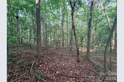 Lot 3 Schenck Farm Road, Lawndale, NC 28090 - Photo 8