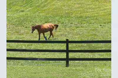 256 Johnson Dairy Road, Mooresville, NC 28115 - Photo 10
