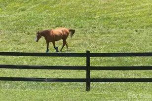 256 Johnson Dairy Rd, Mooresville, NC 28115 - Photo 10