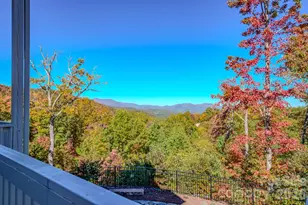 2488 Catawba Falls Pkwy, Black Mountain, NC 28711 - Photo 18