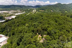 711 Shawnee Trail, Asheville, NC 28805 - Photo 16