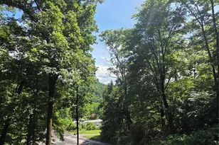 165 Mt Eire Dr, Sylva, NC 28779 - Photo 2