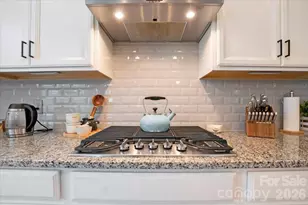17534 Austins Creek Dr, Charlotte, NC 28278 - Photo 16