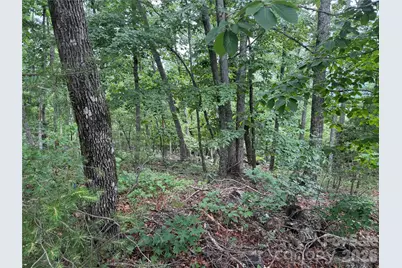 0 Arbra Mountain Way #54, Bostic, NC 28018 - Photo 4