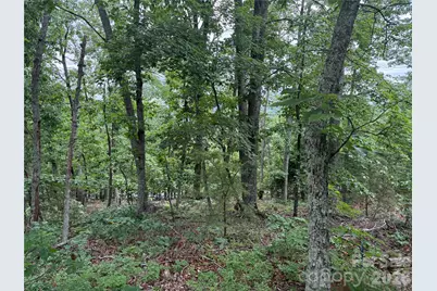 0 Arbra Mountain Way #54, Bostic, NC 28018 - Photo 2