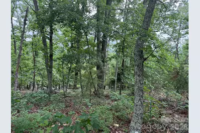 0 Arbra Mountain Way #54, Bostic, NC 28018 - Photo 4