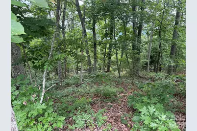 0 Arbra Mountain Way #54, Bostic, NC 28018 - Photo 2