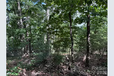 0 Arbra Mountain Way #54, Bostic, NC 28018 - Photo 6