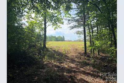 Lot 1 Schenck Farm Road, Lawndale, NC 28090 - Photo 6