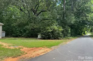 176 Dogwood Trail Ln, Indian Land, SC 29707 - Photo 12