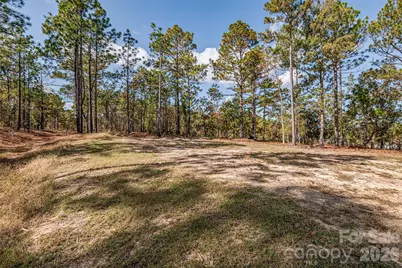 8684 Teals Mill Road, Cheraw, SC 29520 - Photo 22