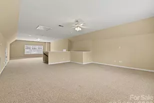 6414 Ballybay Dr, Charlotte, NC 28278 - Photo 28