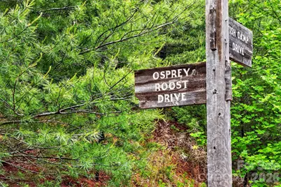 159 Osprey Roost Drive, Nebo, NC 28761 - Photo 32
